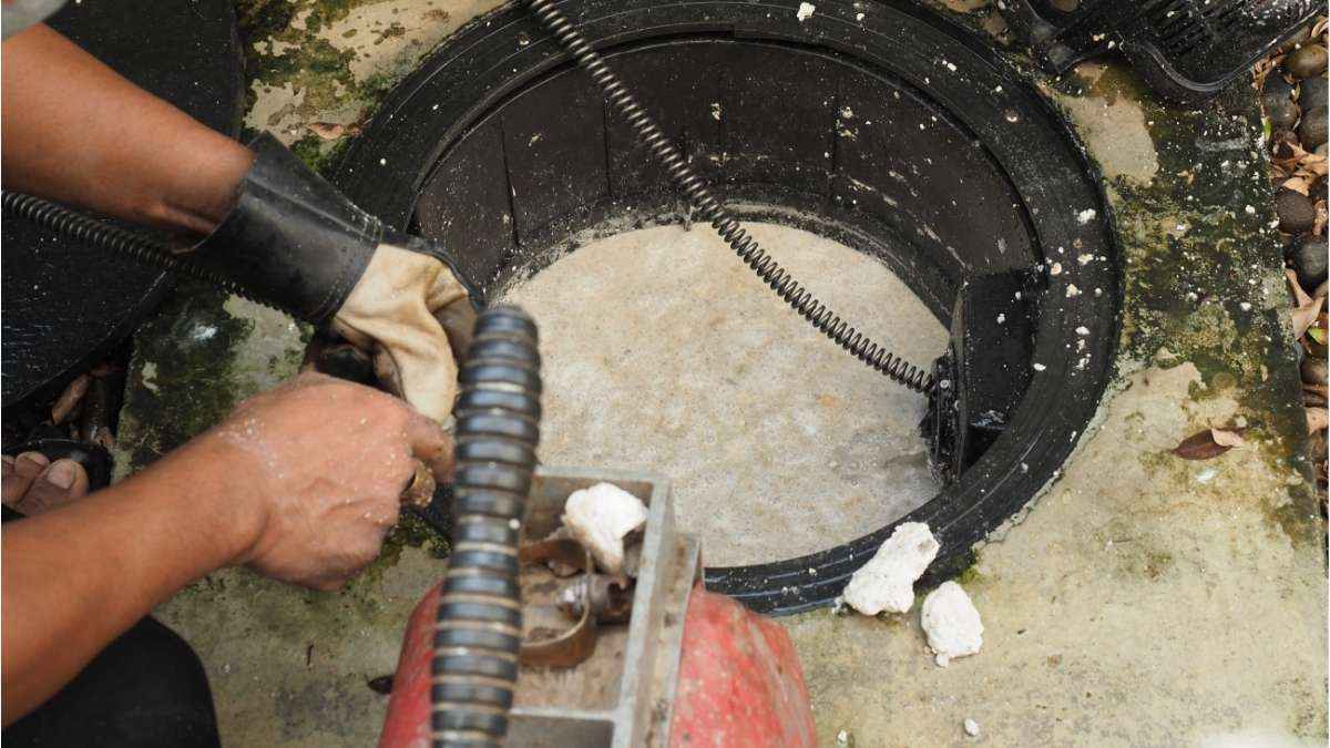 De Quanto Em Quanto Tempo Fazer A Limpeza De Caixa De Gordura