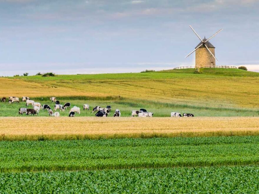 fazenda a venda em mg